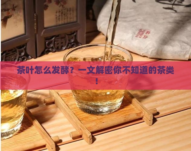 茶叶根据发酵程度分为