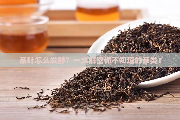 茶叶根据发酵程度分为