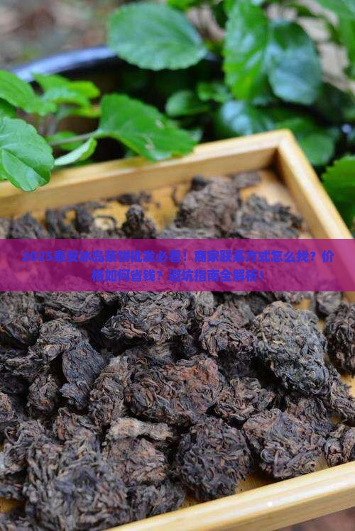泰安冰岛茶饼批发商家联系方式