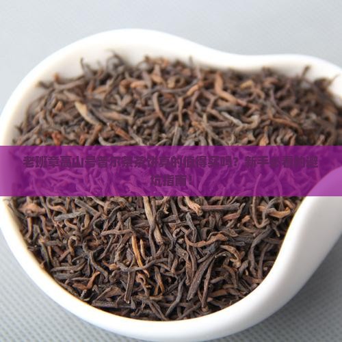 老班章高山号普尔茶茶饼
