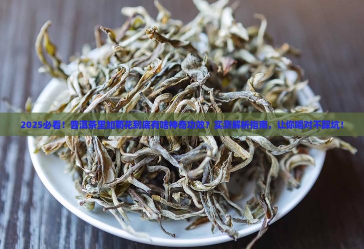 普洱茶中的菊花有什么功效