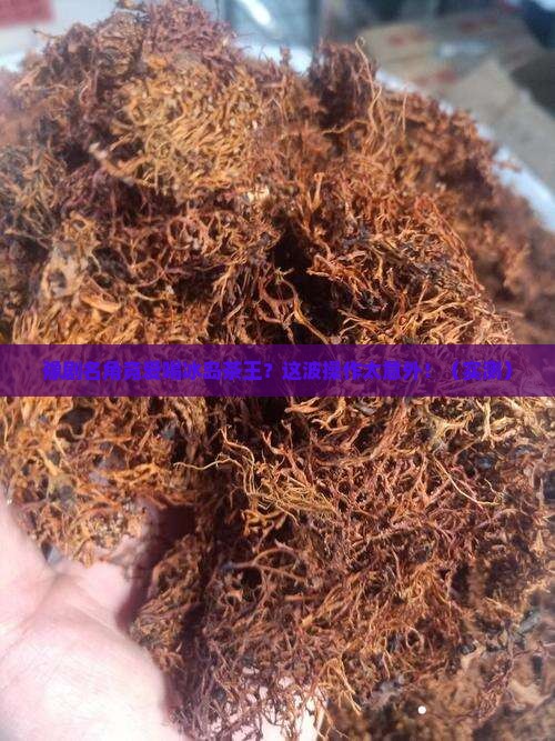 豫剧名普洱冰岛茶王