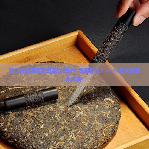 丽江去哪里买普洱茶比较好
