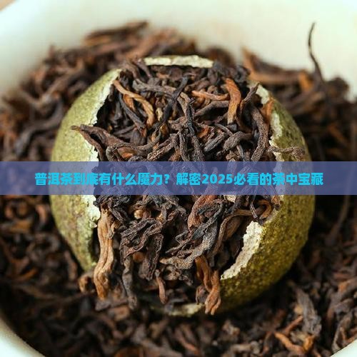普洱茶的茶有什么特点