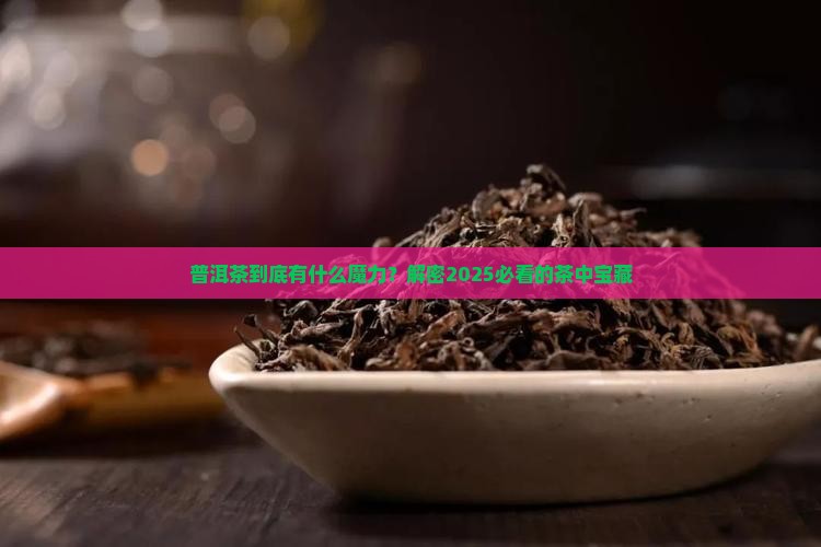 普洱茶的茶有什么特点