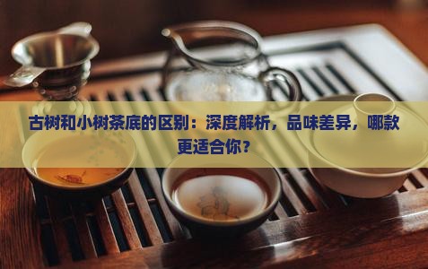 古树和小树茶底的区别