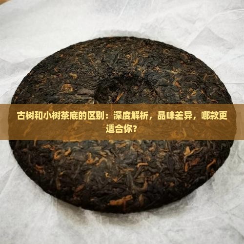 古树和小树茶底的区别