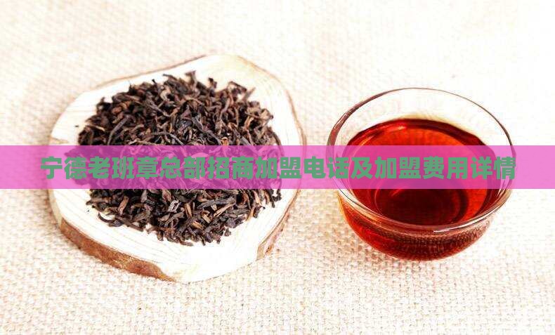 宁德老班章总部招商加盟
