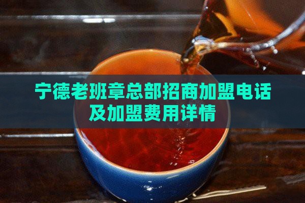 宁德老班章总部招商加盟