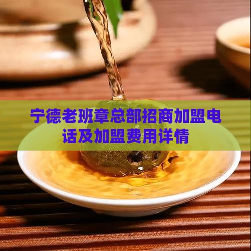 宁德老班章总部招商加盟