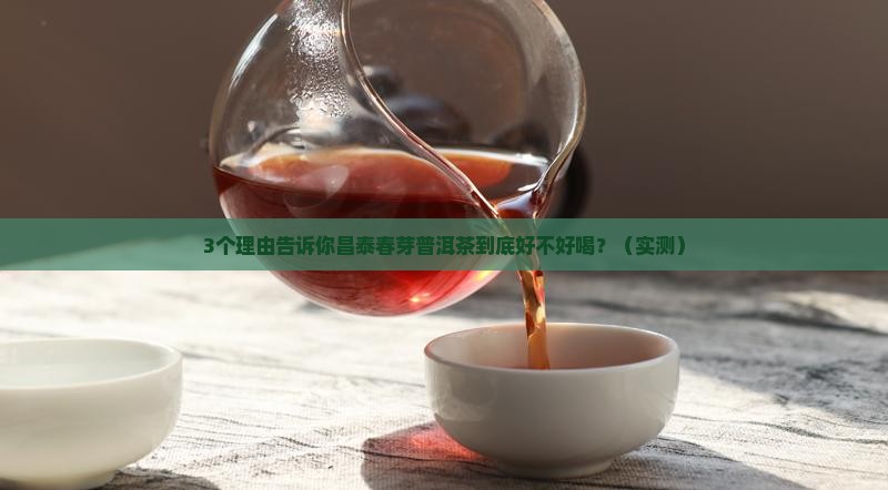 昌泰春芽普洱茶怎么样好喝吗