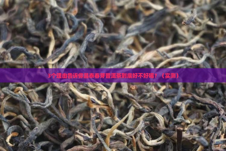 昌泰春芽普洱茶怎么样好喝吗