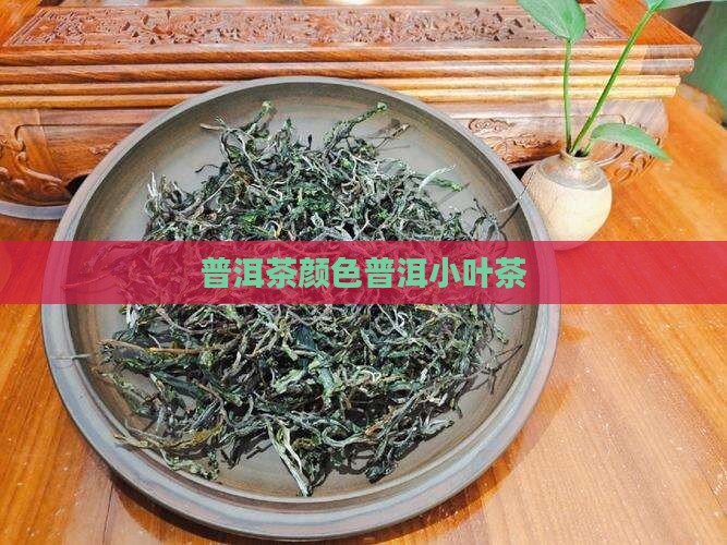 小叶普洱茶颜色