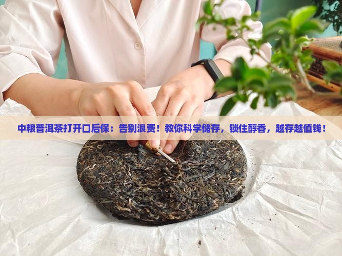 中粮普洱茶打开口后保
