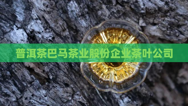 普洱茶品牌巴马