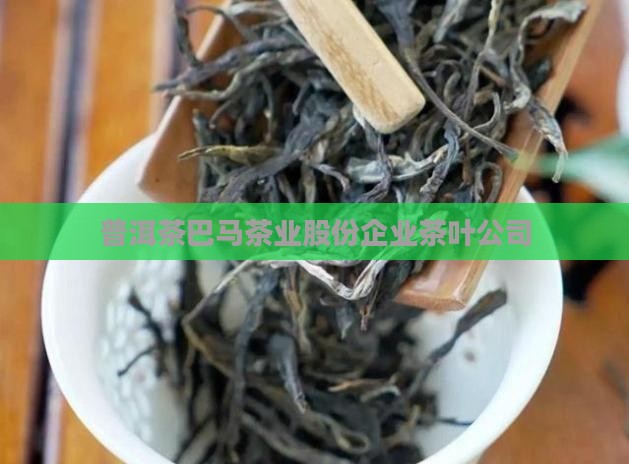 普洱茶品牌巴马