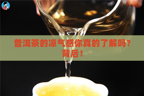 普洱茶的凉气感