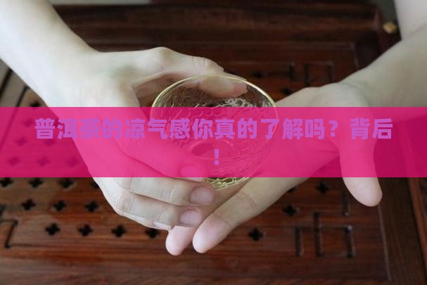 普洱茶的凉气感