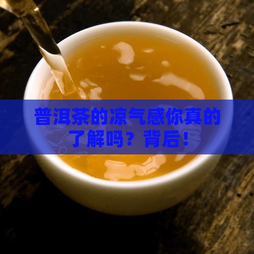 普洱茶的凉气感