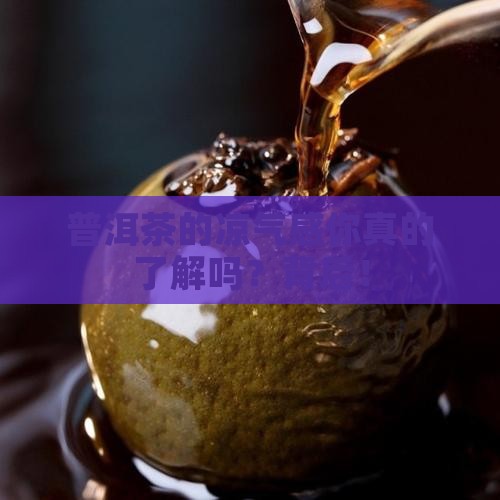 普洱茶的凉气感