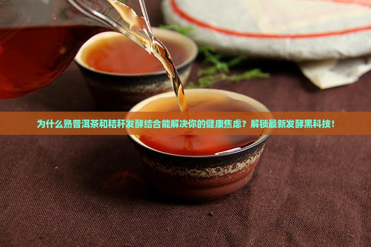 熟普洱茶和秸秆发酵