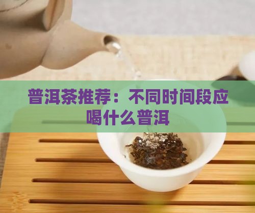 喝茶时间段应喝什么普洱茶