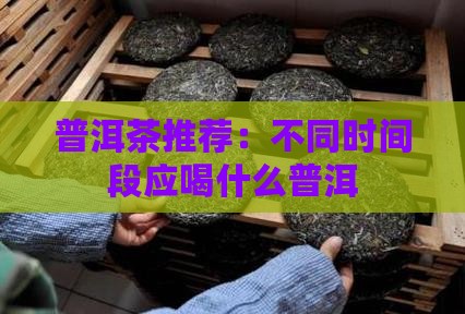 喝茶时间段应喝什么普洱茶