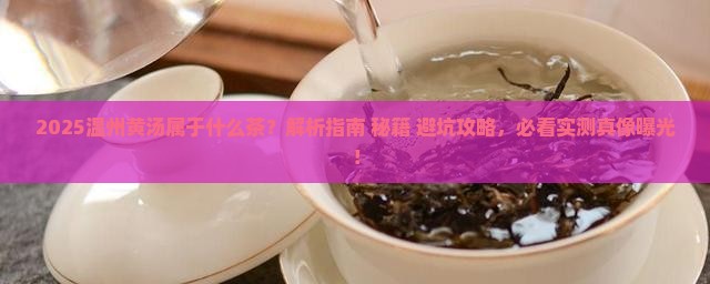 温州黄汤属于什么茶