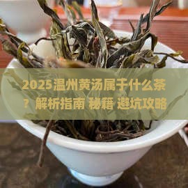 温州黄汤属于什么茶