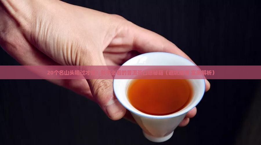 普洱茶20个名山头口感特征