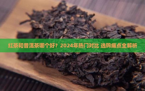 红茶和普洱茶哪个品牌