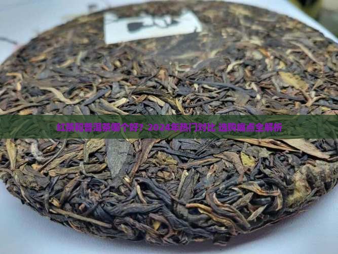 红茶和普洱茶哪个品牌