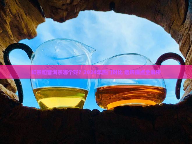 红茶和普洱茶哪个品牌