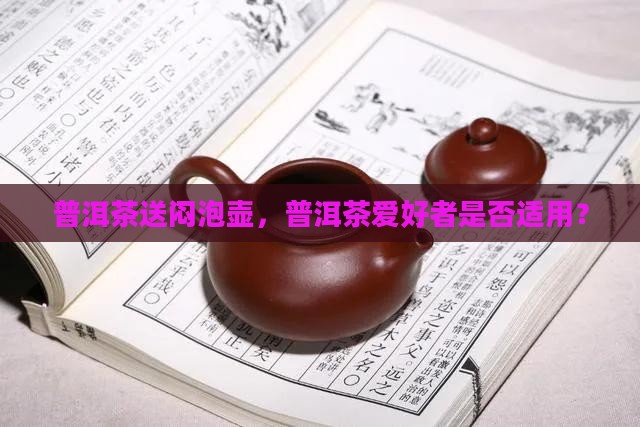 普洱茶送闷泡壶好不好用