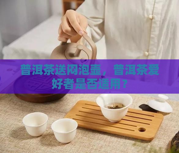 普洱茶送闷泡壶好不好用
