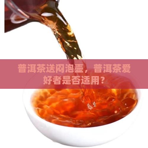 普洱茶送闷泡壶好不好用