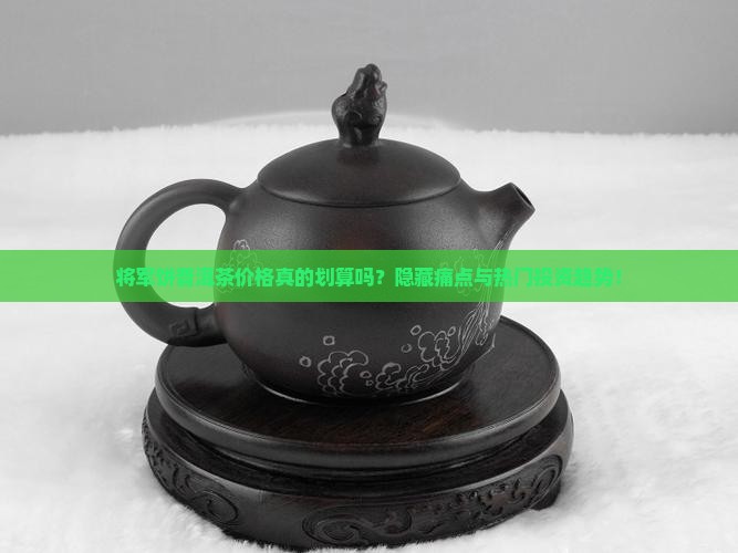 将军饼普洱茶价格