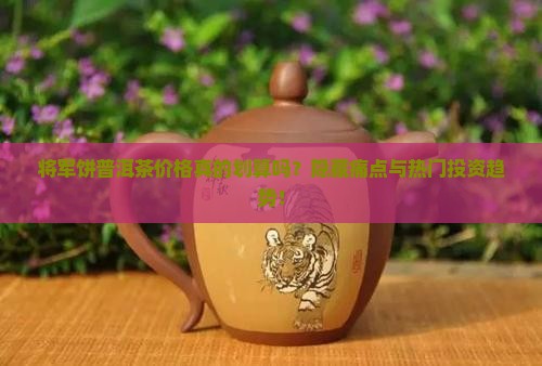 将军饼普洱茶价格
