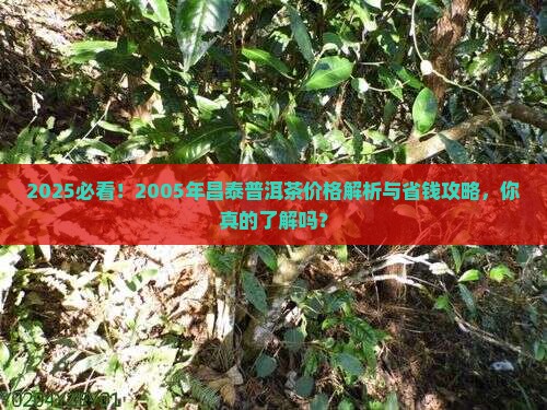 2005年昌泰普洱茶价格