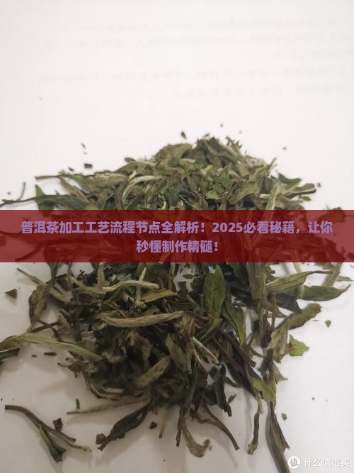 普洱茶加工工艺流程节点