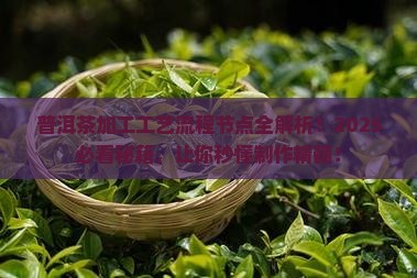 普洱茶加工工艺流程节点