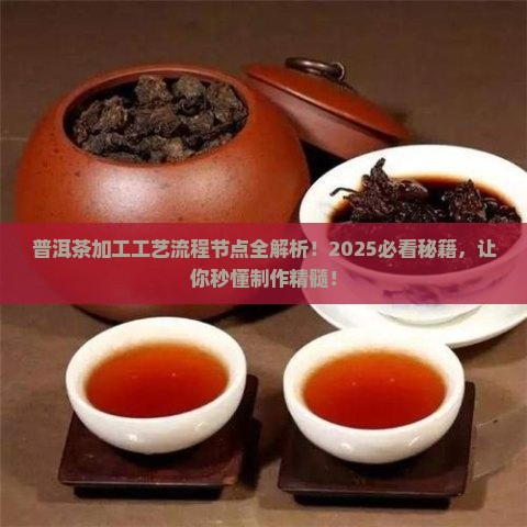 普洱茶加工工艺流程节点