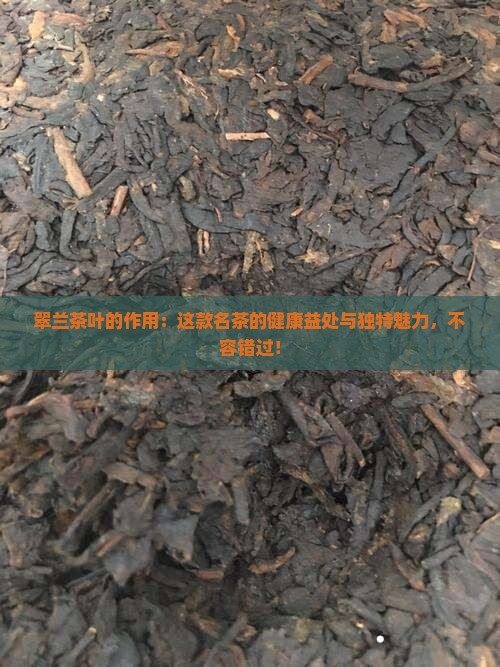 翠兰茶叶的作用