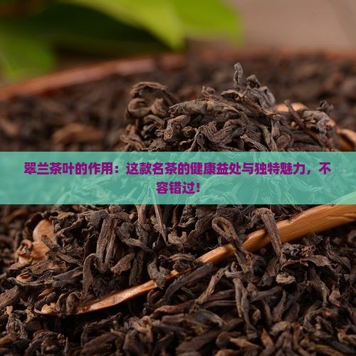 翠兰茶叶的作用