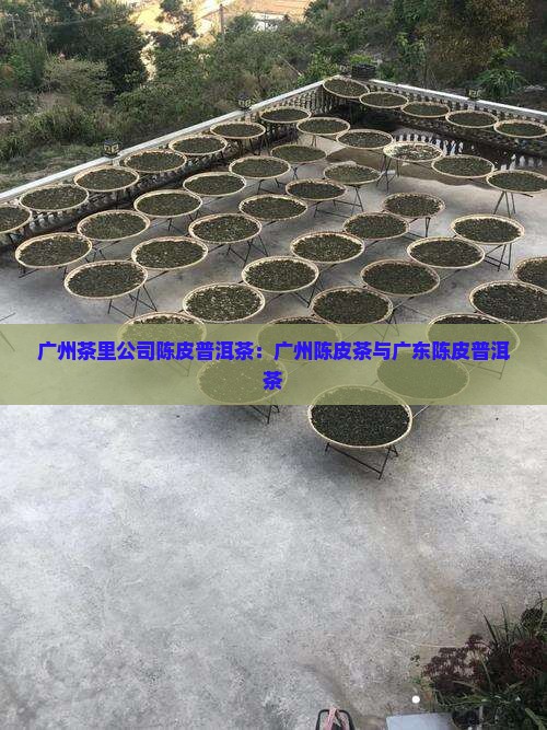 广州茶里公司陈皮普洱茶