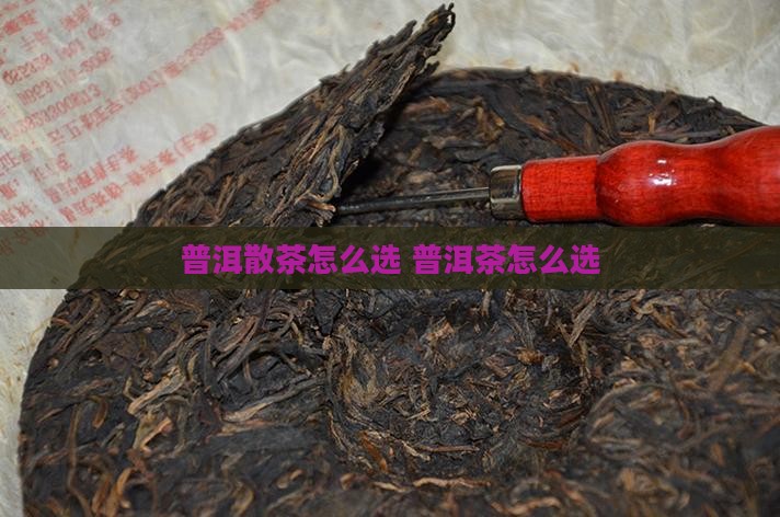 普洱茶散茶怎么选