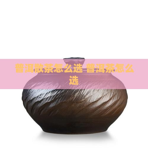 普洱茶散茶怎么选