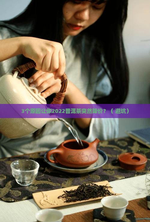 2022普洱茶降价原因