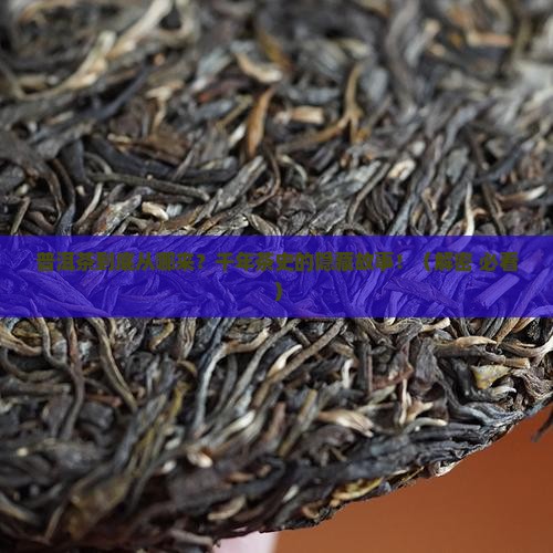 普洱茶是从什么时候开始的