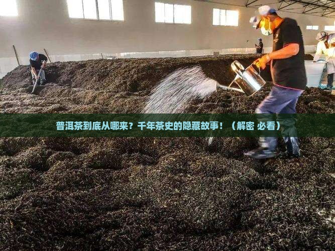 普洱茶是从什么时候开始的